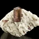 Tourmaline Var. Liddicoatite on Quartz & Clevelandite - image 2