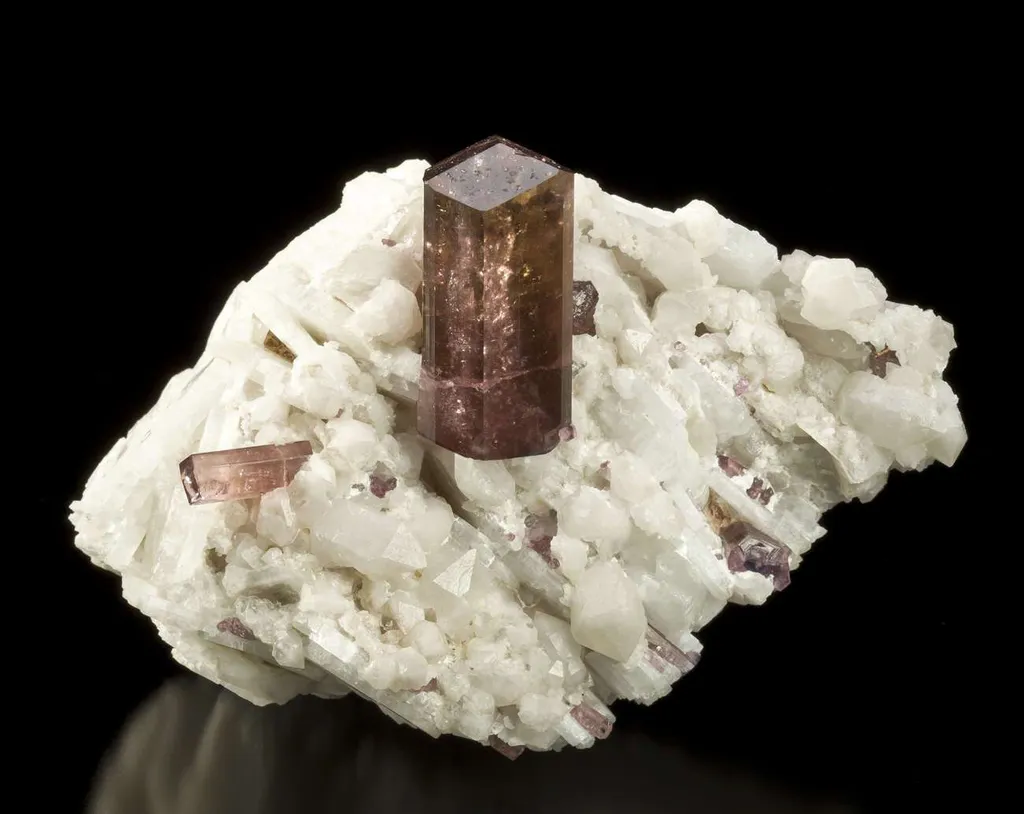 Tourmaline Var. Liddicoatite on Quartz & Clevelandite image