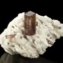Tourmaline Var. Liddicoatite on Quartz & Clevelandite - image 1