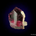 Tourmaline var. Liddicoatite with Manandonite - image 2