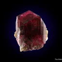 Tourmaline var. Liddicoatite with Manandonite - image 4