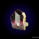 Tourmaline var. Liddicoatite with Manandonite - image 3