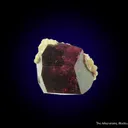 Tourmaline var. Liddicoatite with Manandonite - image 5