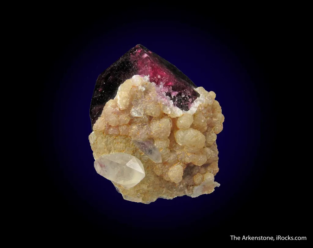 Tourmaline var. Liddicoatite with Manandonite - image 6