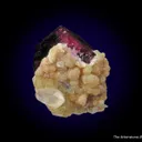 Tourmaline var. Liddicoatite with Manandonite - image 6