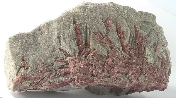 Tourmaline (Var: Rubellite) image