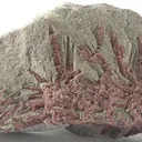 Tourmaline (Var: Rubellite) - image 1