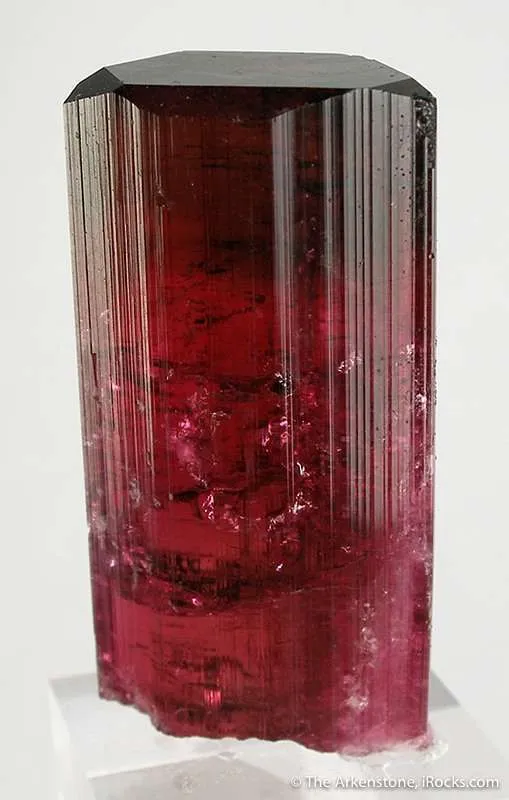 Tourmaline Var. Rubellite image