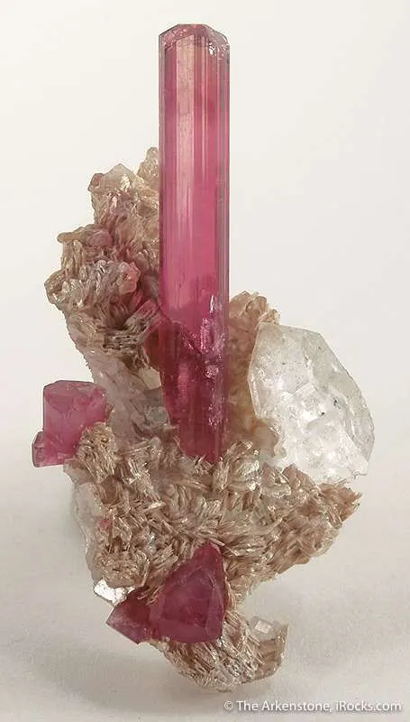 Tourmaline Var. Rubellite - image 2
