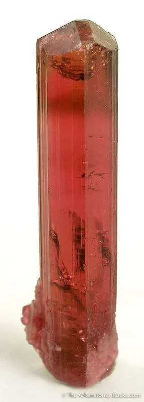 Tourmaline Var. Rubellite image