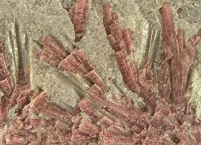 Tourmaline (Var: Rubellite) - image 2