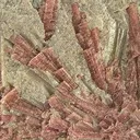 Tourmaline (Var: Rubellite) - image 2