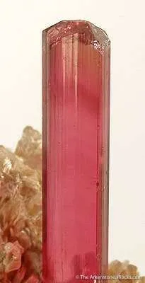 Tourmaline Var. Rubellite - image 3