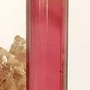 Tourmaline Var. Rubellite - image 3