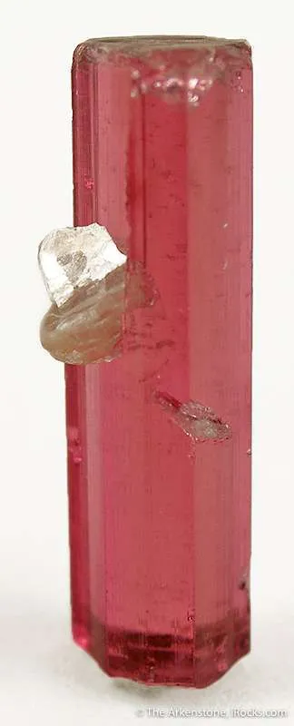 Tourmaline Var. Rubellite image