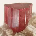 Tourmaline Var. Rubellite - image 2