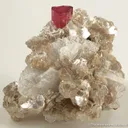 Tourmaline Var. Rubellite - image 1