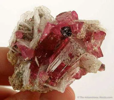 Tourmaline Var. Rubellite - image 2