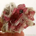 Tourmaline Var. Rubellite - image 2