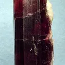Tourmaline (Var: Rubellite), Albite - image 1