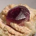Tourmaline (Var: Rubellite), Albite (Var: Cleavelandite) - image 2
