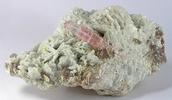 Tourmaline (Var: Rubellite), Albite (Var: Cleavelandite) image