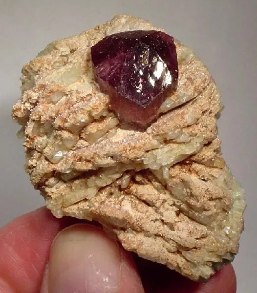 Tourmaline (Var: Rubellite), Albite (Var: Cleavelandite) image