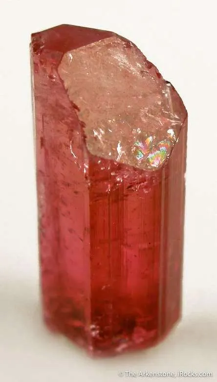 Tourmaline Var. Rubellite image
