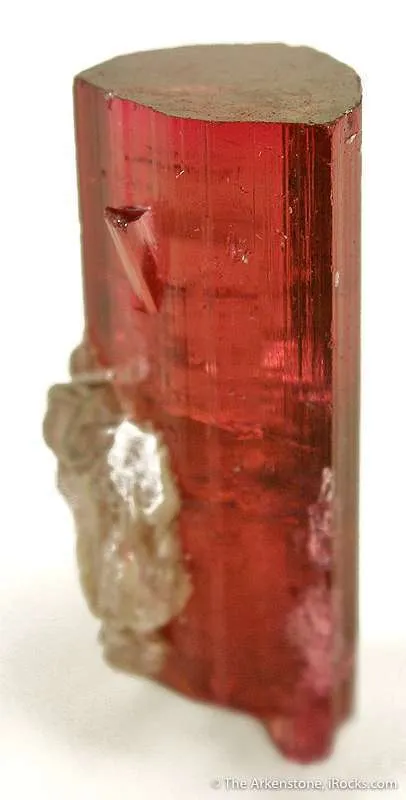 Tourmaline Var. Rubellite - image 2