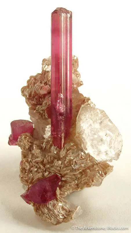 Tourmaline Var. Rubellite image