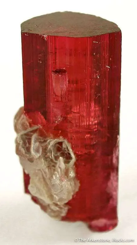 Tourmaline Var. Rubellite image