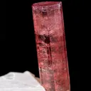 Tourmaline var. Rubellite from Brazil, Minas Gerais, Coronel Murta - image 3