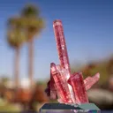 Tourmaline var. Rubellite from Coronel Murta, Brazil - image 2