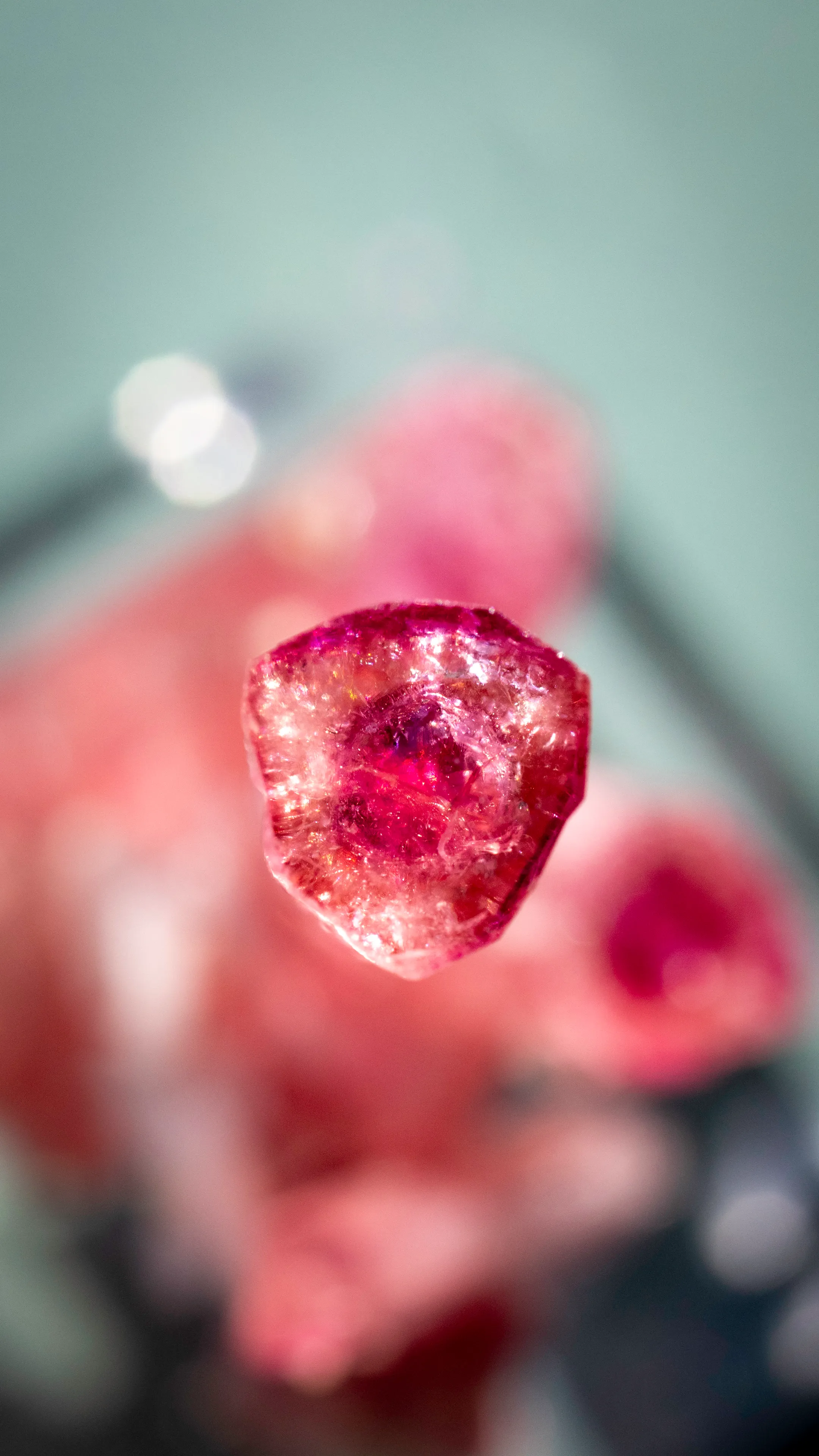 Tourmaline var. Rubellite from Coronel Murta, Brazil - image 3