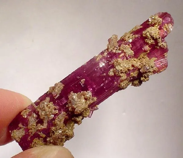 Tourmaline (Var: Rubellite), Lepidolite image