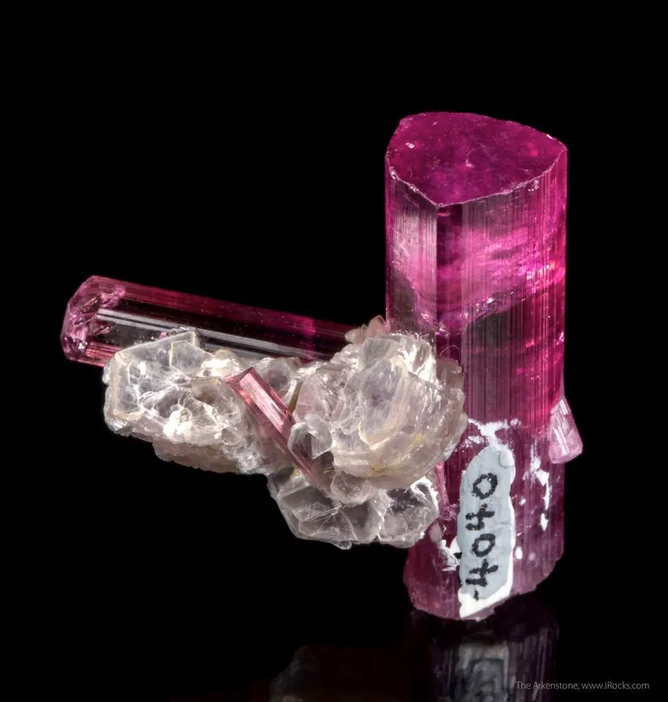 Tourmaline var. Rubellite on Lepidolite - image 4