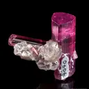 Tourmaline var. Rubellite on Lepidolite - image 4