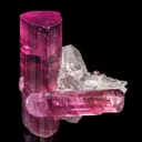 Tourmaline var. Rubellite on Lepidolite - image 3