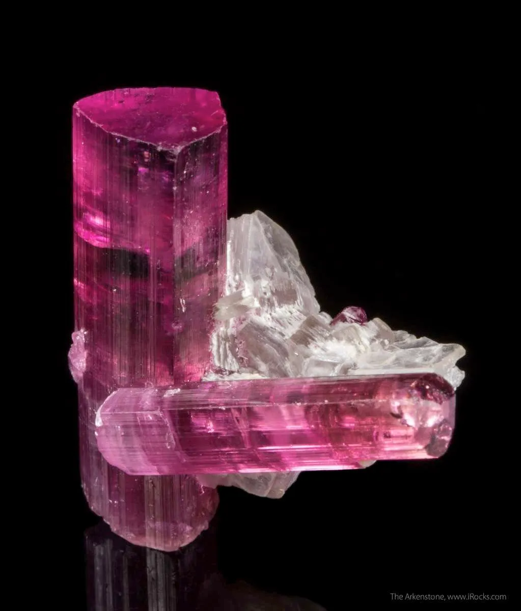 Tourmaline var. Rubellite on Lepidolite - image 3