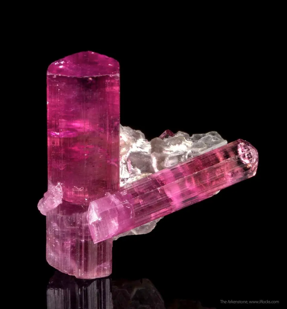 Tourmaline var. Rubellite on Lepidolite image