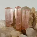 Tourmaline Var. Rubellite on Orthoclase With Quartz - image 2