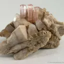 Tourmaline Var. Rubellite on Orthoclase With Quartz - image 1
