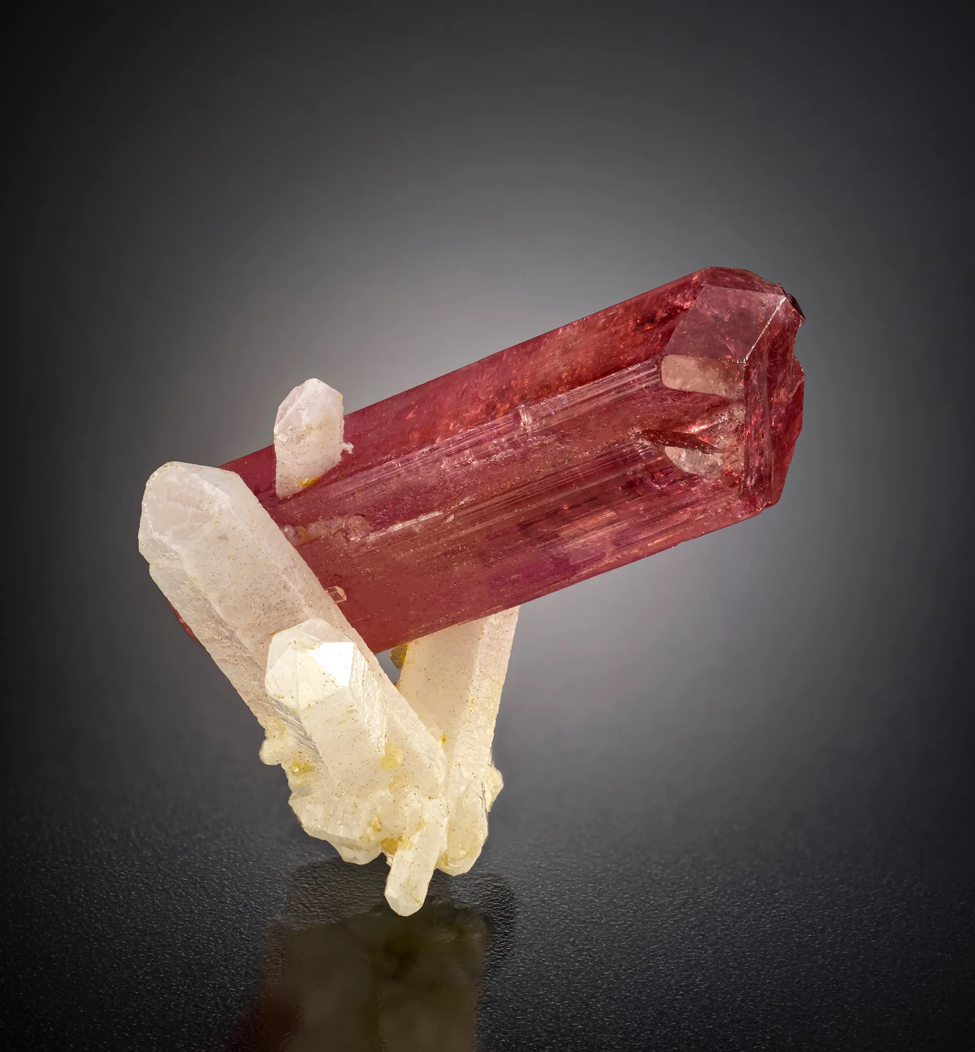 Tourmaline (var. Rubellite) on Quartz - image 1