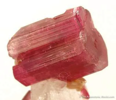 Tourmaline Var. Rubellite on Quartz - image 3