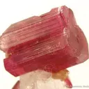 Tourmaline Var. Rubellite on Quartz - image 3