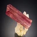 Tourmaline (var. Rubellite) on Quartz - image 2