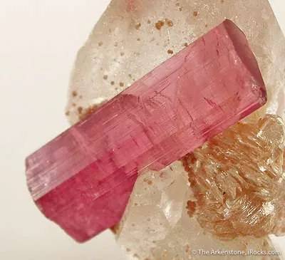 Tourmaline Var. Rubellite on Quartz - image 4