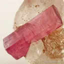 Tourmaline Var. Rubellite on Quartz - image 4