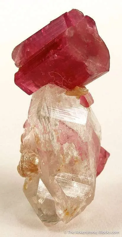 Tourmaline Var. Rubellite on Quartz image