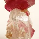 Tourmaline Var. Rubellite on Quartz - image 1